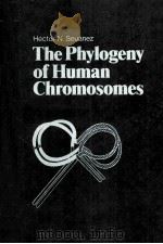 THE PHYLOGENY OF HUMAN CHROMOSOMES（ PDF版）