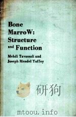 BONE MARROW :STRUCTURE AND FUNCTION     PDF电子版封面    MEHDI TAVASSOLI 