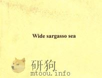 WIDE SARGASSO SEA PENGUIN BOOKS   1966  PDF电子版封面     