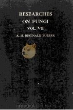 RESEARCHES ON FUNGI BOL VII     PDF电子版封面    A.H.REGINALD BULLER 