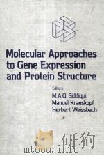 MOLECULAR APPROACHES TO GENE EXPRESSION AND PROTEIN STRUCTURE     PDF电子版封面    M.A.Q.SIDDIQUI 