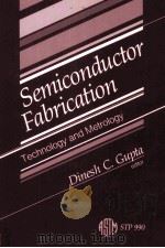 SEMICONDUCTOR FABRICATION:TECHNOLOGY AND METROLOGY（ PDF版）