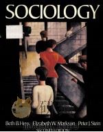 SOCIOLOGY SECOND EDITION   1985  PDF电子版封面  0023543507   