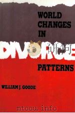 WORLD CHANGES IN DIVORCE PATTERNS（1993 PDF版）