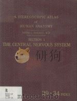 A Stereoscopic Atlas of Human Anatomy Section I The Central Nervous System Reels 29-34   1952  PDF电子版封面     