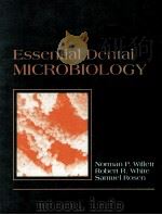 Essential Dental MICROBIOLOGY   1991  PDF电子版封面    Norman P.Willett 