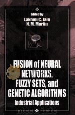 FUSION OF NEURAL NETWORKS FUZZY SETS AND GENETIC ALGORITHMS     PDF电子版封面    LAKHMI C.JAIN 