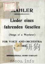 LIEDER EINES FAHRENDEN (SONGS OF A WAYFARER)     PDF电子版封面     
