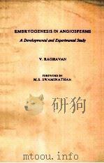 EMBRYOGENESIS IN ANGIOSPERMS A DEVELOPMENTAL AND EXPERIMENTAL STUDY     PDF电子版封面     