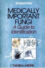 MEDICALLY IMPORTANT FUNGI A GUIDE TO IDENTIFICATION SECOND EDITION   1987  PDF电子版封面  0444011188   
