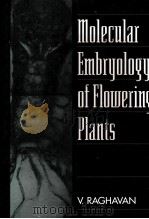 MOLECULAR EMBRYOLOGY OF FLOWERING PLANTS（ PDF版）