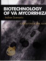BIOTECHNOLOGY OF VA MYCORRHIZA:INDIAN SCENARIO     PDF电子版封面  8189422227   