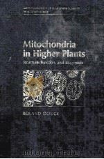 MITOCHONDRIA IN HIGHER PLANTS     PDF电子版封面  0122212801   