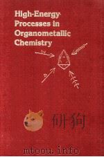 HIGH-ENERGY PROCESSES IN ORGANOMETALLIC CHEMISTRY   1987  PDF电子版封面  0841210187   