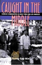 CAUGHT IN THE MIDDLE  KOREAN MERCBANTS IN AMERICA'S MULTIETBNIC CITIES   1996  PDF电子版封面    PYONG GAP MIN 