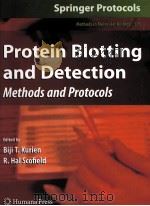 PROTEIN BIOTTING AND DETECTIO     PDF电子版封面  1934115732   