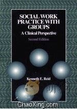 SOCIAL WORK PRACTICE WITH GROUPS  A CLINICAL PERSPECTIVE   1997  PDF电子版封面  0534345484   