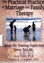THE PRACTICAL PRACTICEOF MARRIAGE AND FAMILY THERAPY THINGS MY TRAINING SUPERVISOR NEVER TOLD ME   1998  PDF电子版封面  9780789004314   