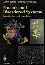 Fractals and Disordered Systems Second Revised and Enlarged Edition With 165 Figures and 10 Color Pl（1991 PDF版）