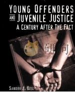 YOUNG OFFENDERS AND JUVENILE JUSTICE A CENTURY AFTER THE FACT（1999 PDF版）