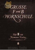 GROSSE F-UND B-HORNSCHULE     PDF电子版封面    HERMANN NEULING 