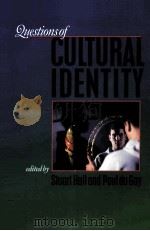 QUESTIONS OF CULTURAL IDENTITY（1997 PDF版）