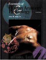 ESSENTIALS OF HUMAN ANATOMY PHYSIOLOGY FOUTH EDITION   1983  PDF电子版封面  9780697266620   
