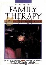 FAMILY THERAPY CONCEPTS AND METHODS  SECOND EDITION   1984  PDF电子版封面  0205128874   