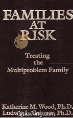 FAMILIES AT RISK  TREATING THE MULTIPROBLEM FAMILY（1989 PDF版）