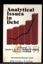 ANALYTICAL ISSUES IN DEBT   1989  PDF电子版封面  1557750416   