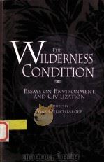THE WILDERNESS CONDITION  ESSAYS ON ENVIRONMENT AND CIVILIZATION   1992年  PDF电子版封面    MAX OELSCHLAEGER 
