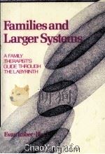 FAMILIES AND LARGER SYSTEMS  A FAMILY THERAPIST‘S GUIDE THROUGH THE LABYRINTH（1988 PDF版）