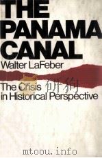 THE PANAMA CANAL:THE CRISIS INHISTORICAL PERSPECTIVE   1978  PDF电子版封面  0195023609   