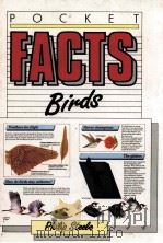 POCKET FACTS  BIRDS   1990年  PDF电子版封面    PHILIP STEELE 