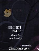 FEMINIST ISSUES  RACE，CLASS，AND SEXUALITY   1995  PDF电子版封面  0130763659   