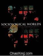SOCIOLOGICAL WORLDS  COMPARATIVE AND HISTORICAL READINGS ON SOCIETY   1995  PDF电子版封面  0935732675   