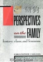 PERSPECTIVES ON THE FAMILY：HISTORY，CLASS，AND FEMINISM（1990 PDF版）