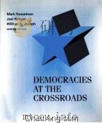 DEMOCRACIES AT THE CROSSROADS   1996  PDF电子版封面  0669332038   