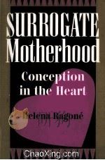 SURROGATE MOTHERHOOD   1994  PDF电子版封面  081331979X   