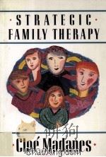 STRATEGIC FAMILY THERAPY（1981 PDF版）