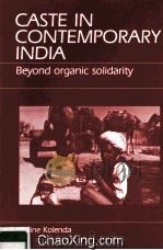 CASTE IN CONTEMPORARY INDIA：BEYOND ORGANIC SOLIDARITY   1985  PDF电子版封面  088133183X   