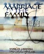 MARRIAGE AND THE FAMILY   1982  PDF电子版封面  0669043737   