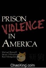 PRION VIOLENCE IN AMERICA（1985 PDF版）