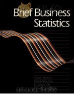 BRIEF BUSINESS STATISTICS   1988  PDF电子版封面  0205110908   