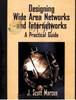 DESIGNING WIDE AREA NETWORKS AND INTERNETWORKS A PRACTICAL GUIDE   1999  PDF电子版封面  2900201695846   