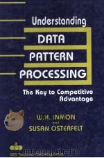 Understanding Data Pattern Processing The Key to Competitive Advantage（1991 PDF版）