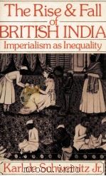 THE RISE AND FALL OF BRITISH INDIA IMPERIALISM AS INEQUALITY   1985  PDF电子版封面  0416335306   