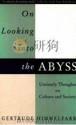 ON LOOKING INTO THE ABYSS UNTIMELY THOUGHTS ON CULTURE AND SOCIETY（1994 PDF版）