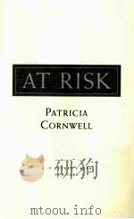 AT RISK（1999 PDF版）