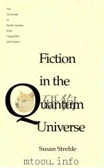 FICTION IN THE QUANTUM UNIVERSE   1992  PDF电子版封面  0807820245;0807843652   